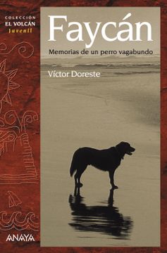 portada Faycán: Memorias de un Perro Vagabundo (Literatura Infantil (6-11 Años) - el Volcán (Canarias))