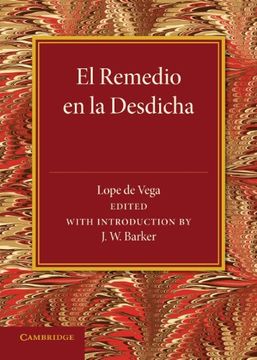 portada El Remedio en la Desdicha (in English)
