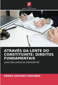 portada Através da Lente do Constituinte: Direitos Fundamentais: Questões Jurídicas Emergentes (en Portugués)