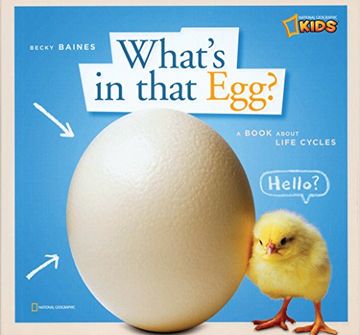 portada Zigzag: What's in That Egg? (Zigzag) (libro en Inglés)