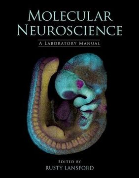 portada Molecular Neuroscience: A Laboratory Manual (en Inglés)