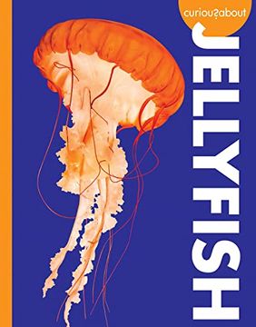 portada Curious about Jellyfish (en Inglés)