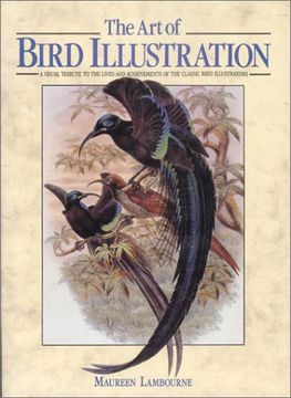 portada The art of Bird Illustration (en Inglés)