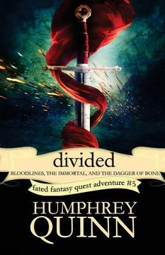 portada Divided (Bloodlines, the Immortal, and the Dagger of Bone) (in English)