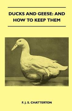 portada ducks and geese: and how to keep them