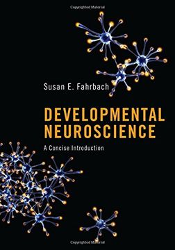 portada Developmental Neuroscience: A Concise Introduction 