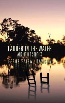 portada Ladder in the Water and Other Stories