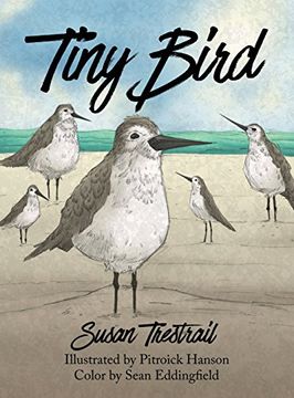 portada Tiny Bird