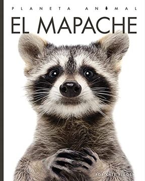 portada El Mapache (Planeta Animal) (in English)