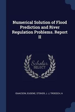 portada Numerical Solution of Flood Prediction and River Regulation Problems. Report II (en Inglés)