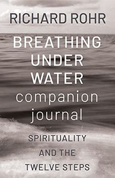 portada Breathing Under Water Companion Journal: Spirituality and the Twelve Steps (en Inglés)