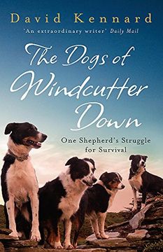 portada The Dogs of Windcutter Down: One Shepherd's Struggle for Survival (en Inglés)