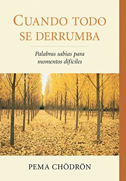 portada Cuando Todo Se Derrumba (When Things Fall Apart): Palabras Sabias Para Momentos Dificiles (in Spanish)