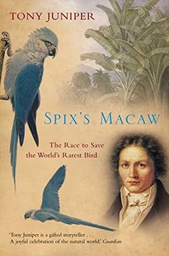 portada Spix’S Macaw: The Race to Save the World’S Rarest Bird (en Inglés)