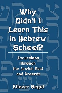 portada why didn't i learn this in hebrew school?: excursions trough the jewish past and present (in English)