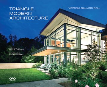 portada Triangle Modern Architecture (en Inglés)
