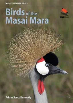 portada birds of the masai mara