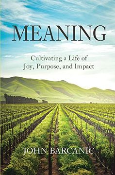 portada Meaning: Cultivating a Life of Joy, Purpose, and Impact (en Inglés)