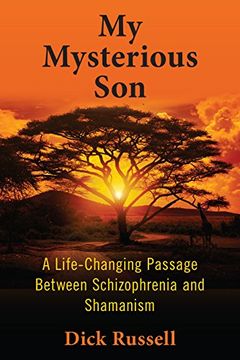 portada My Mysterious Son: A Life-Changing Passage Between Schizophrenia and Shamanism (en Inglés)