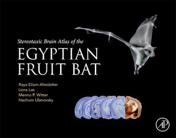 portada Stereotaxic Brain Atlas of the Egyptian Fruit bat (en Inglés)
