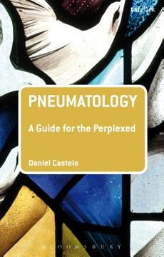 portada Pneumatology: A Guide for the Perplexed (en Inglés)