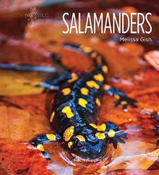portada Salamanders (Living Wild) (en Inglés)
