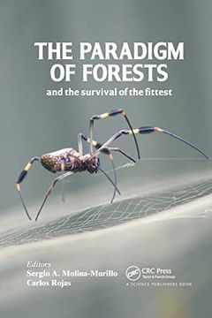 portada The Paradigm of Forests and the Survival of the Fittest (en Inglés)