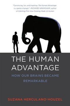 portada The Human Advantage: How Our Brains Became Remarkable (MIT Press)