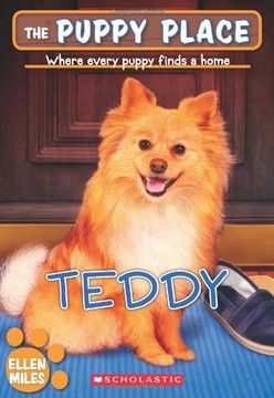 portada teddy (in English)