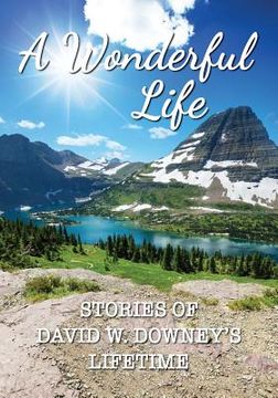 portada A Wonderful Life: Stories of David W. Downey's Lifetime (en Inglés)