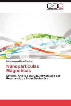 portada nanopart culas magn ticas (en Inglés)