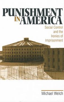 portada punishment in america: social control and the ironies of imprisonment (en Inglés)