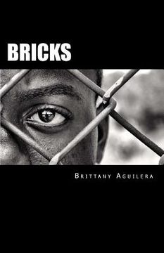 Bricks (en Inglés)