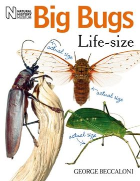 portada Big Bugs Life-Size