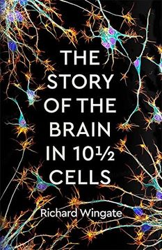 portada The Story of the Brain in 10Â½ Cells