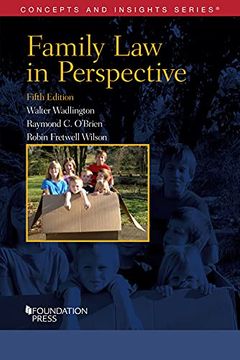portada Family law in Perspective (Concepts and Insights) (en Inglés)