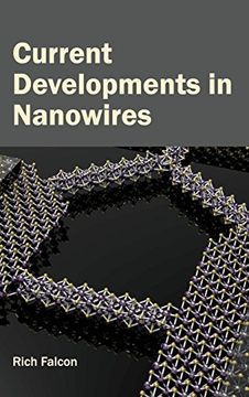 portada Current Developments in Nanowires (en Inglés)
