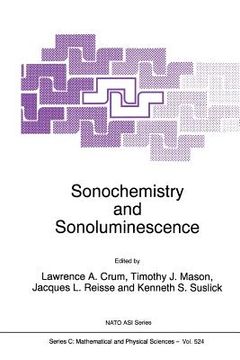 portada sonochemistry and sonoluminescence (in English)