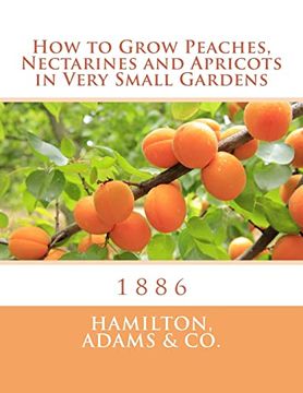 portada How to Grow Peaches, Nectarines and Apricots in Very Small Gardens: 1886 (en Inglés)