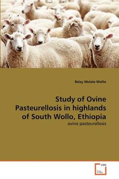 portada study of ovine pasteurellosis in highlands of south wollo, ethiopia (en Inglés)