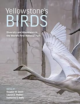 portada Yellowstone’S Birds: Diversity and Abundance in the World’S First National Park (en Inglés)