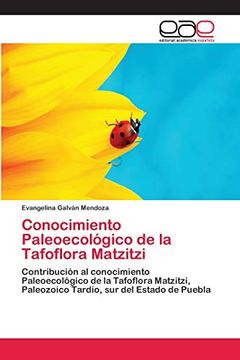 portada Conocimiento Paleoecológico de la Tafoflora Matzitzi