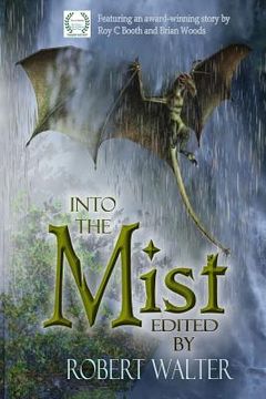 portada Into the Mist (in English)