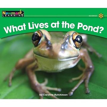 portada what lives at the pond? (en Inglés)