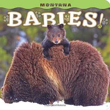 portada Montana Babies! (in English)