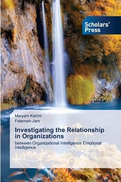 portada Investigating the Relationship in Organizations (en Inglés)