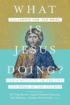 portada What is Jesus Doing? God's Activity in the Life and Work of the Church (in English)