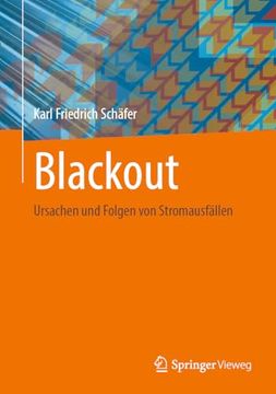 portada Blackout: Ursachen und Folgen von Stromausfällen -Language: German