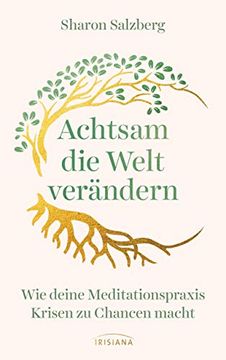 portada Achtsam die Welt Verändern: Wie Deine Meditationspraxis Krisen zu Chancen Macht (in German)