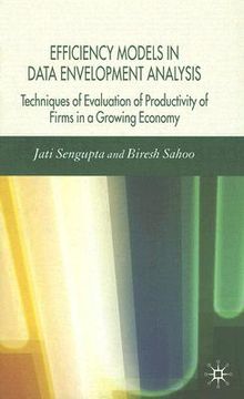 portada efficiency models in data envelopment analysis: techniques of evaluation of productivity of firms in a growing economy (en Inglés)